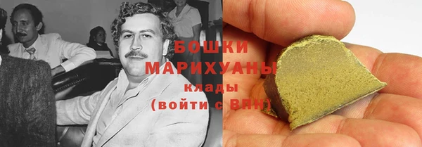 гашик Осинники