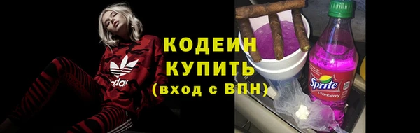 стаф Вязьма
