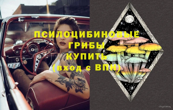 тгк Алзамай