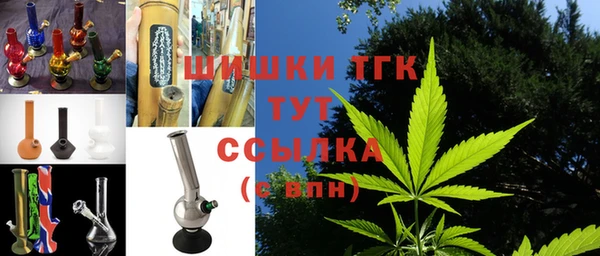 гашик Осинники