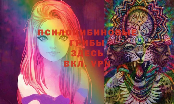 бошки Алексеевка
